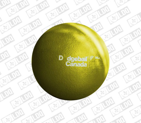 Ballon Dodgeball Ballon-chasseur