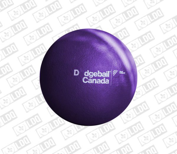 Ballon Dodgeball Ballon-chasseur